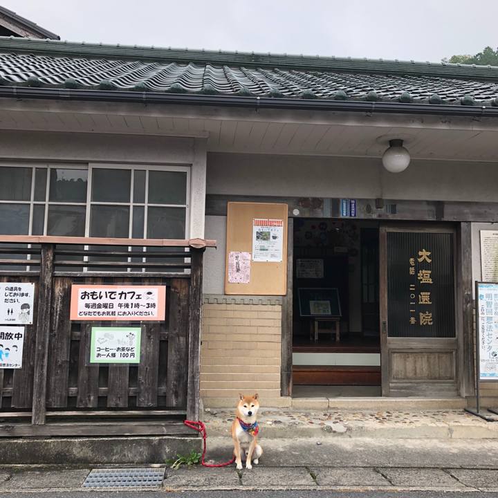 10545d91 a19f 4279 8bc3 d7e3bcd0403c 1539400687033