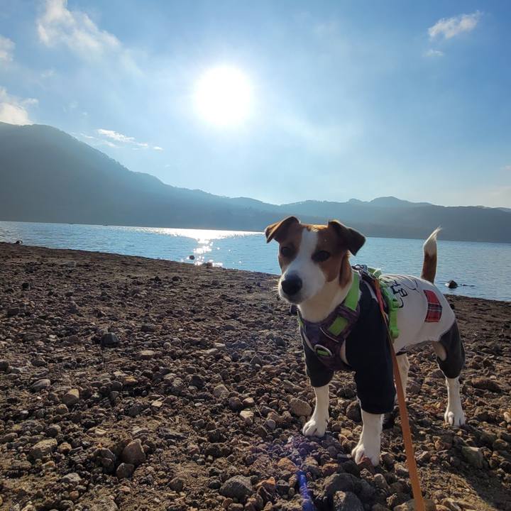 10548416 c96c 4f96 8eca e2197980e539 1698834739049