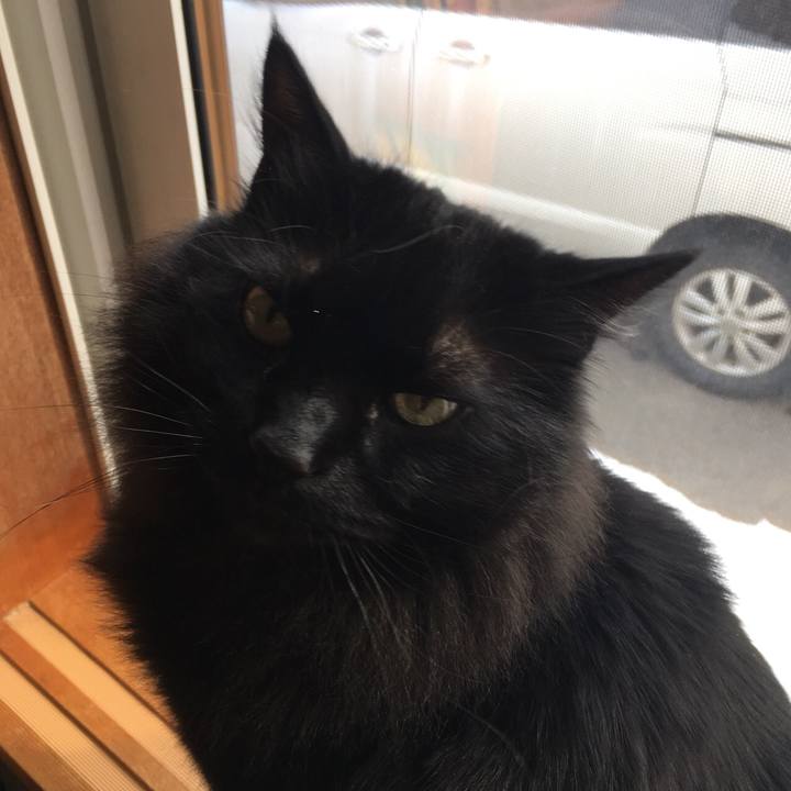 10548c1b db51 4a45 9d9b 3aae2298af37 1551326184164