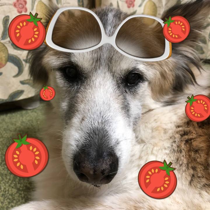 1054aa8b 05d5 4cd4 9c99 d621f0bb6d4a 1554716894409