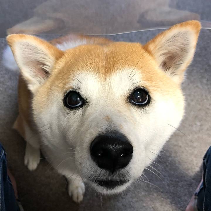 1054cfa2 b635 436f 9ef3 9aedf61172a5 1622679007990