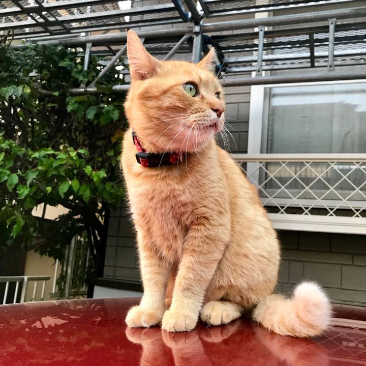 10555bbf 4818 48ae 8f98 5506c599690f 1531995259762