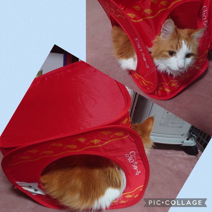 10556509 6b2a 4a49 beda 7264df1c3106 1683218422799