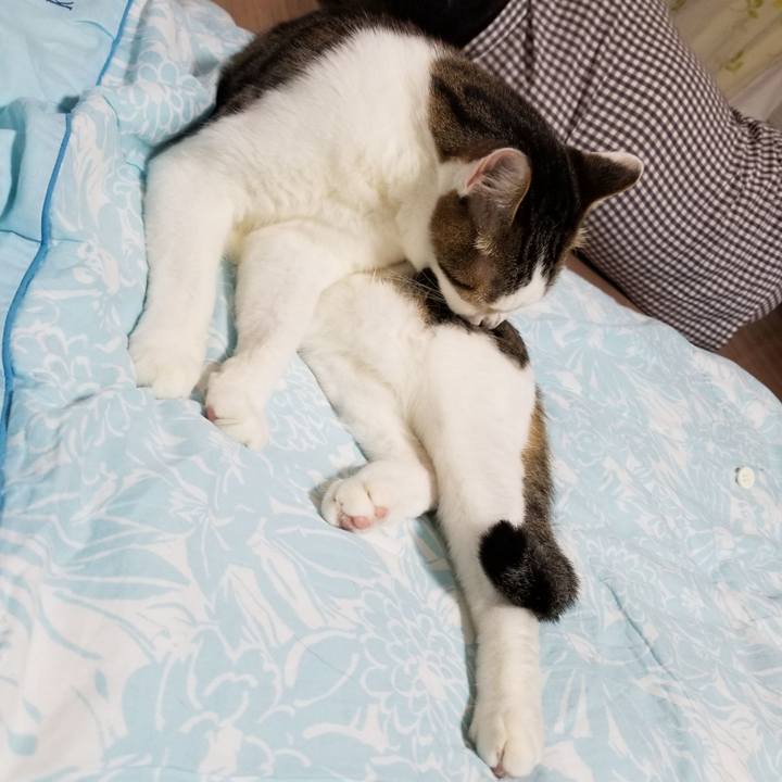 1055695d 0a56 4341 8a87 d01ff3ce61d3 1620131436552