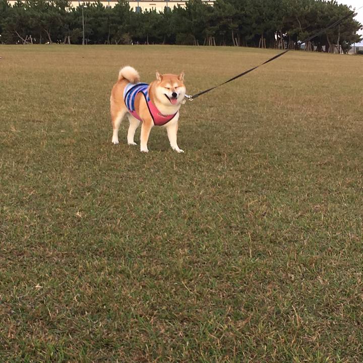 10557afa f66c 4085 8464 0f5cd0983166 1539074432745