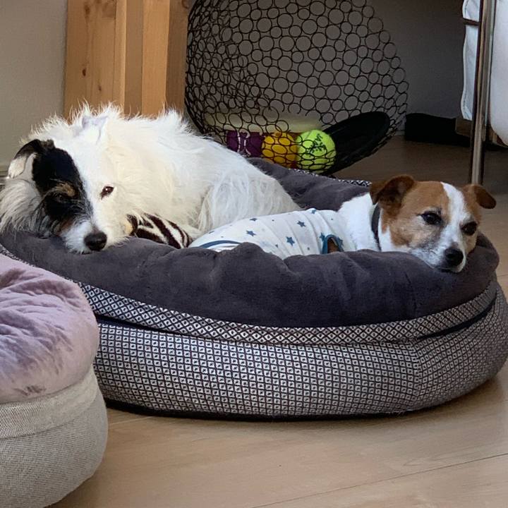 1055c8c3 1f12 45fb 8f5a b95428e97221 1632348330612