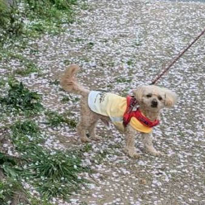 1055f277 e07f 40e9 b178 882c5e6a7068 1744272252834