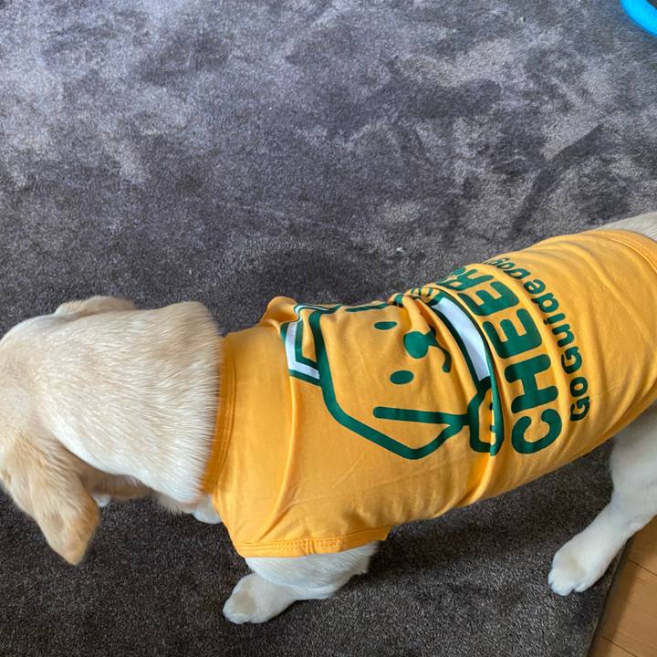 10563d16 1fdb 4c63 b55e ca0e1c040e69 1616399781673