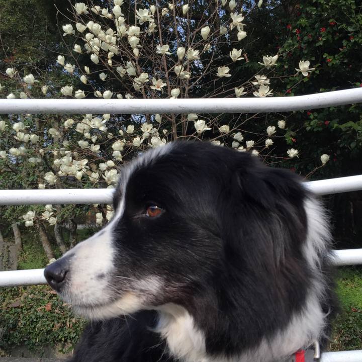 10564043 3dc1 4f60 9fdb 6d827856f2ae 1552352732326