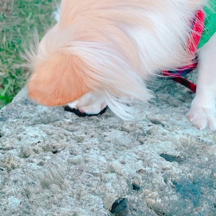 10566da5 a3ae 49d1 9cd7 dc4a4131b329 1627988123678