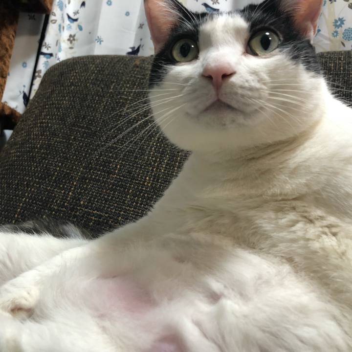 1056c783 768e 4619 b2c5 c551b160658b 1515929455463