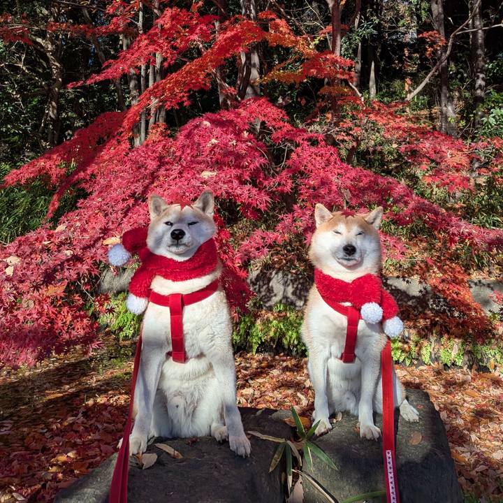 1056dc4d afd8 4695 90c6 c2ae539a066b 1764820536680