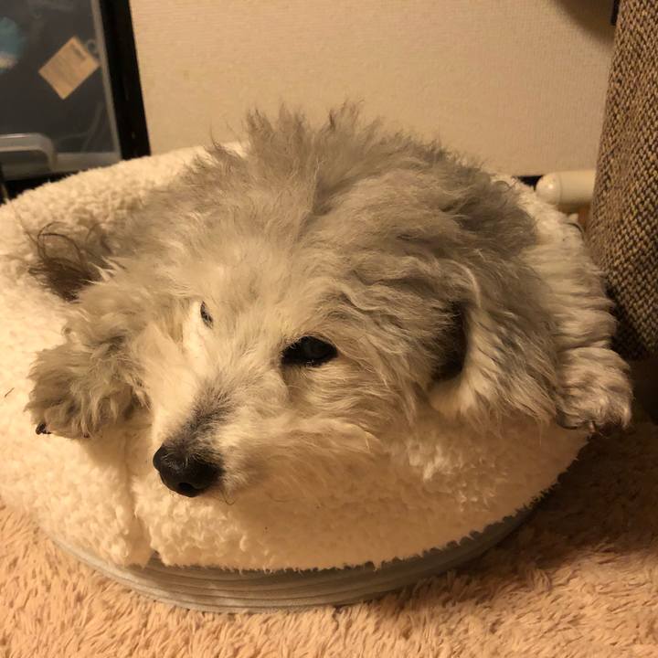 10575f27 063a 4be2 b280 309a7e67e64d 1583323177970