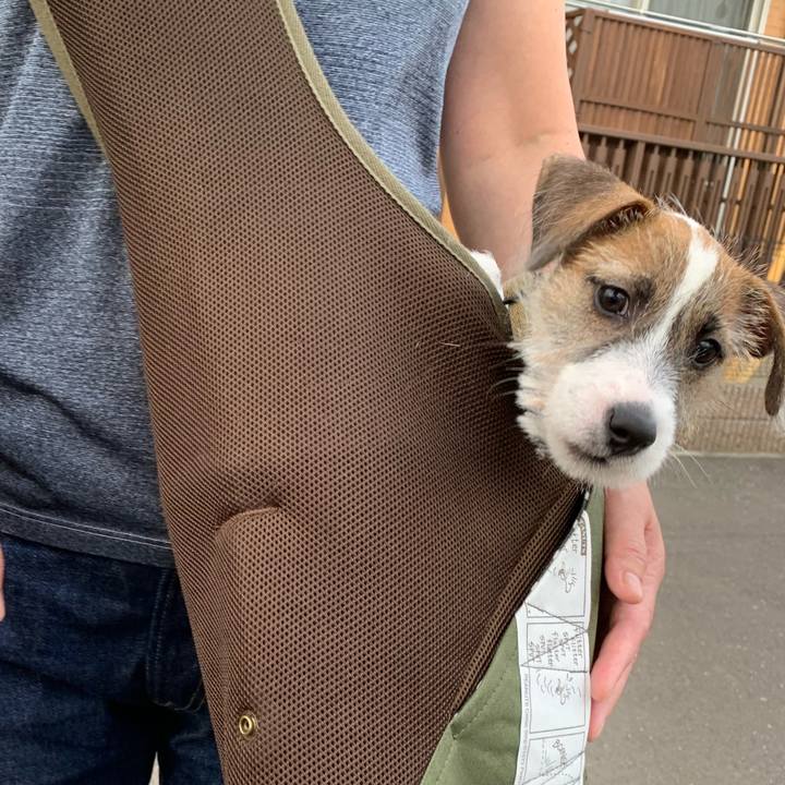 10576532 a651 4ffc a4a5 0e8ea0b0ed77 1561109410428