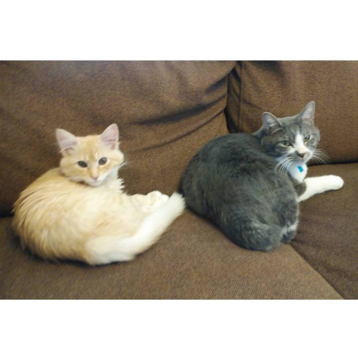 10576777 6c0d 43c7 81f2 24dcb040275d 1608022289815