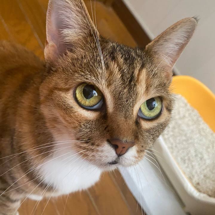 10576b8f a28b 4835 95d3 0d586af0f60b 1623543791086