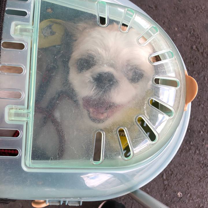 105774fe df0e 4dc0 babf b0e760eebed7 1568238509985