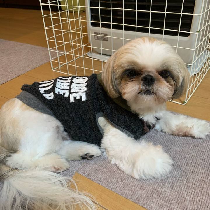 1057ce91 d23a 41e1 8f4a 5422351b7d9d 1607340043932