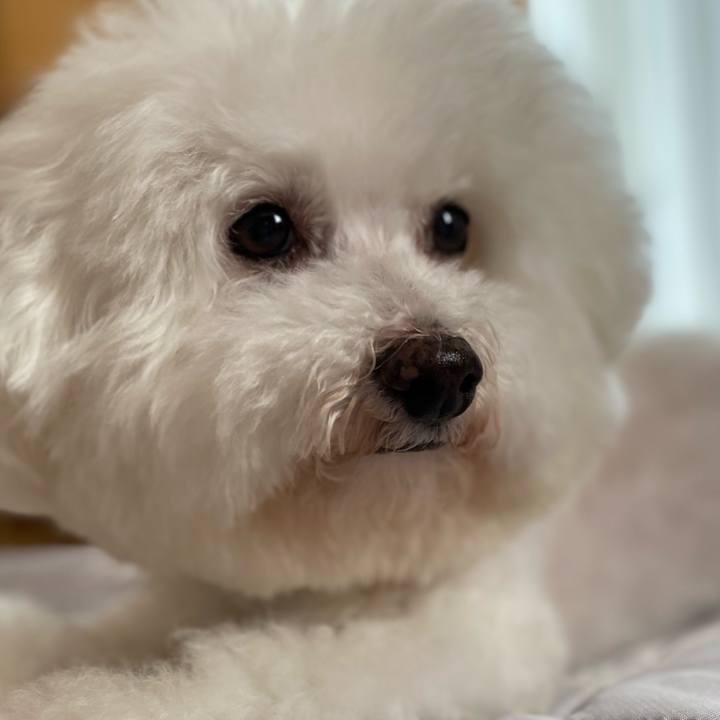 1057dabd 257f 4514 a6cb e9a776aae268 1663037179283