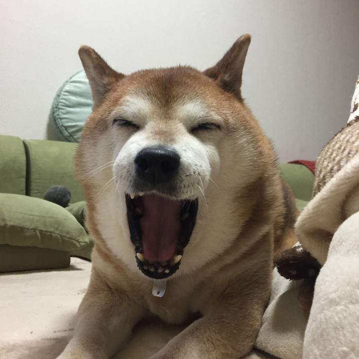 1057de91 7645 4dc8 9dda 6c99d8ea347f 1514987629953