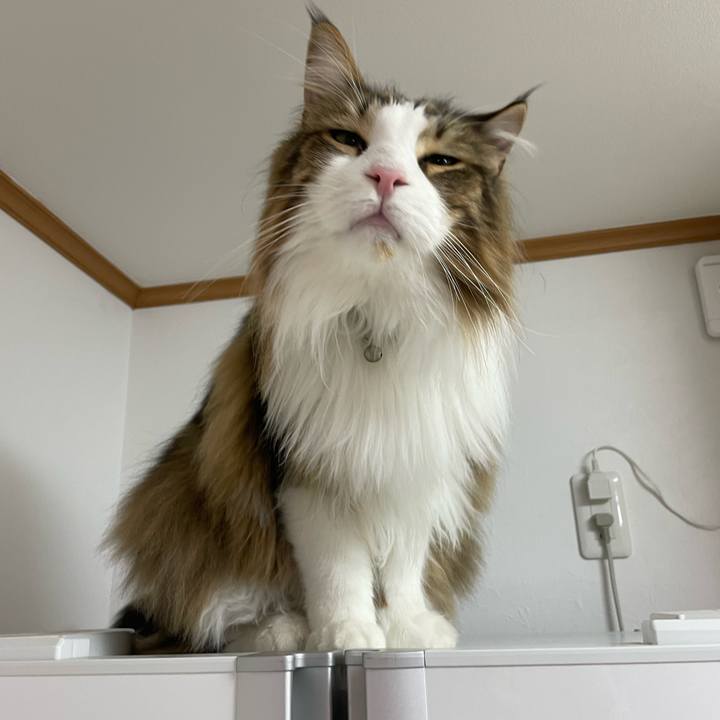 1057e997 adb7 4e5d a1e4 8ef204ced83a 1679171933777