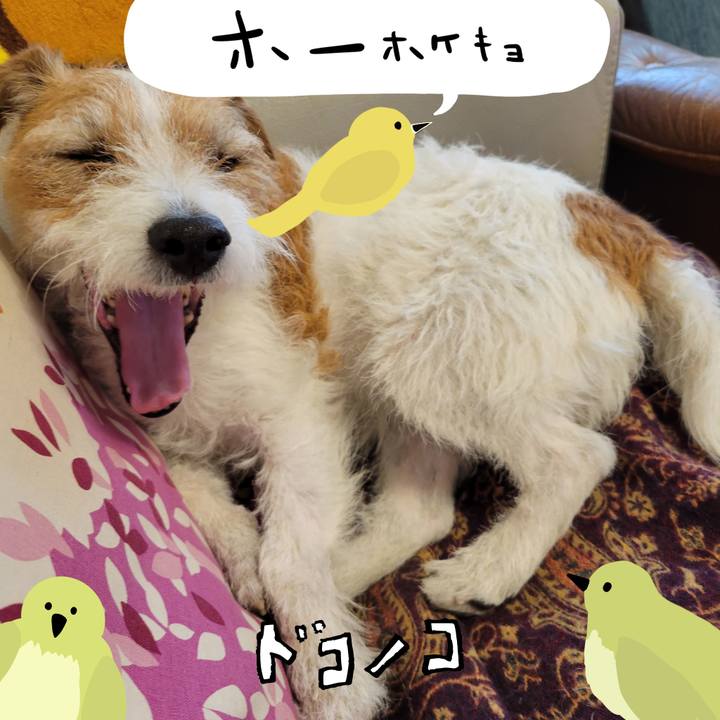 1057ec49 91c2 4765 b692 f433b9944823 1711586069021