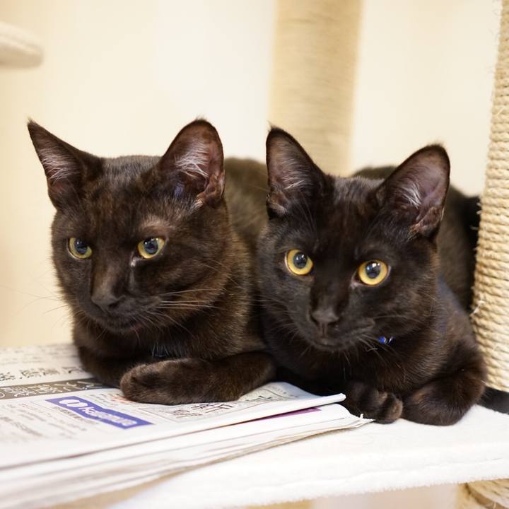 1057ece4 e873 4bca b20a e22c4dc1e703 1511442771983