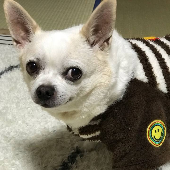 1057f0d1 1516 4b1f af97 556824ebbba8 1581258070187