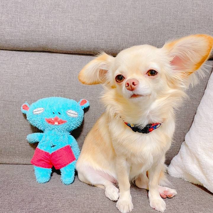 1057f678 741f 4df4 b2de b77de770bb25 1635670866197