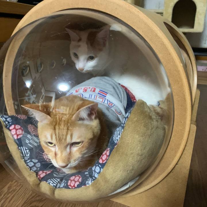 10581e0c 127b 4d41 b616 4eb34abb4cb8 1617363627259