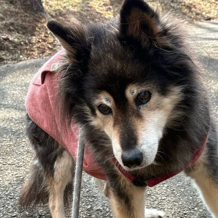 10587db1 8034 48df bf1e d975f6128801 1743245223100