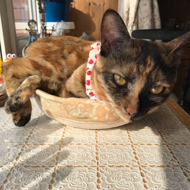 10587f67 2cdf 4102 82c1 bb6078b70178 1623362659487