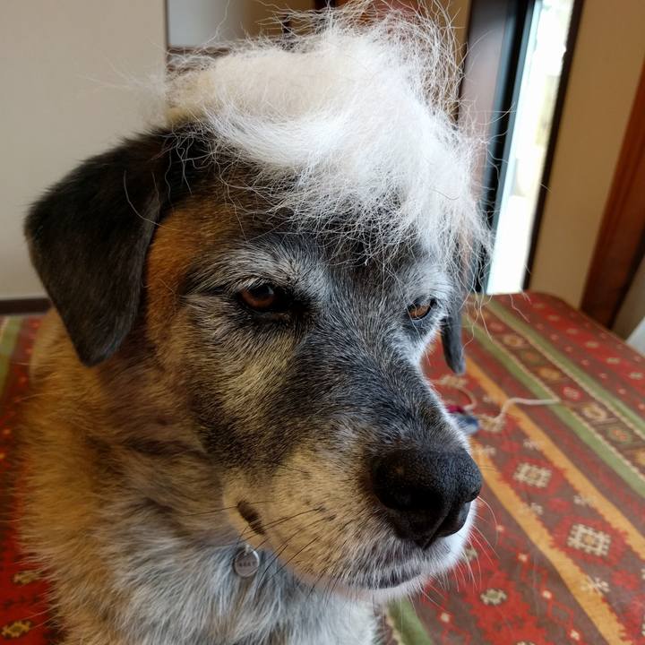 1058a6ad d079 4d63 b7a9 106d523fc36d 1624668112123