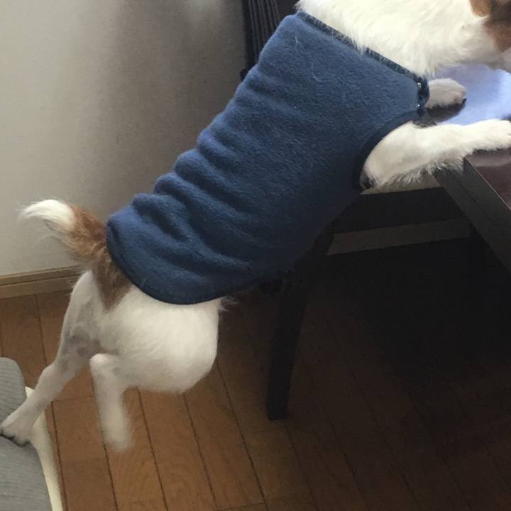 1058e6ae 0bee 4c6e 8c33 3aa39a035b51 1553004720692