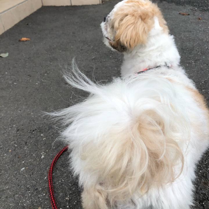 1059053a ac2d 4e7d 88ae c852fc770613 1601675565108