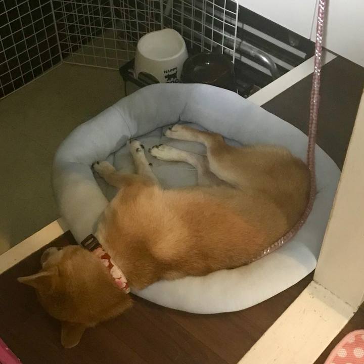 10591d06 6ffd 4795 9905 f6f925c87447 1540982086465