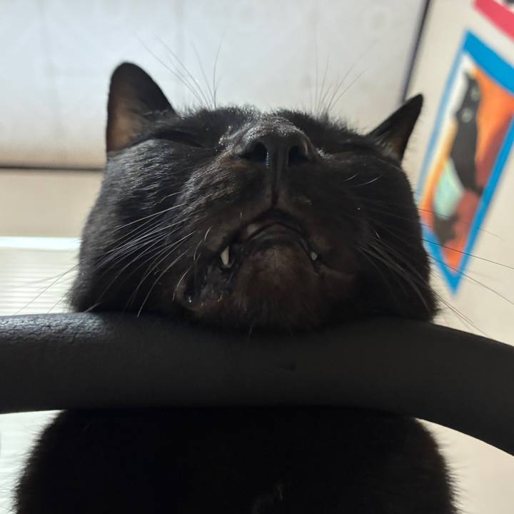 1059452a 9c3d 4183 ab89 3e4d796ca86f 1768174177898