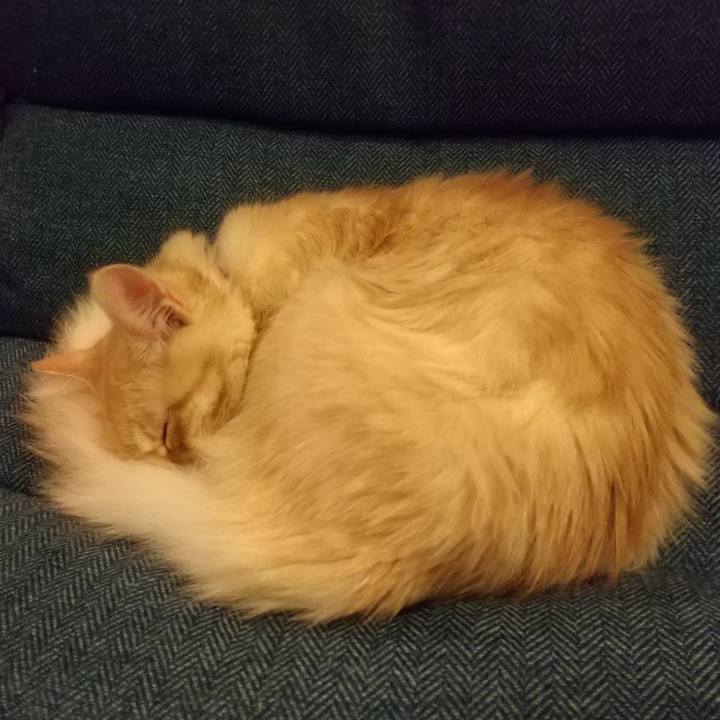 10594b2d 4b5c 4591 9d99 d4d9df1e5b6f 1614074847173