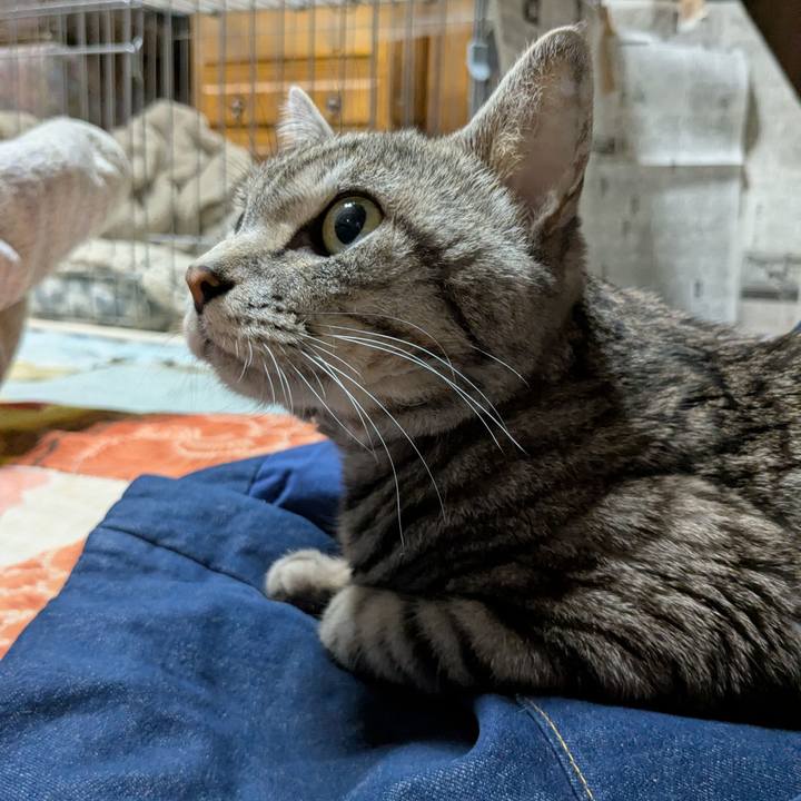 105964a0 6a28 44b2 96a5 1199d7a79d0a 1743154880986