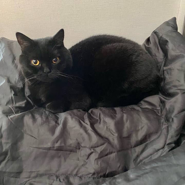 1059a3f6 f0f6 4092 9d60 df849b8d9f1a 1650677590031