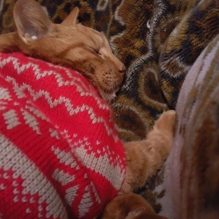 105a72ca 049b 488e b04b 52f205ec3226 1679176416280