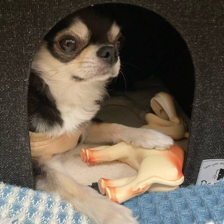 105a9a45 f799 4a44 add4 b76e47d4d0d7 1673103949254