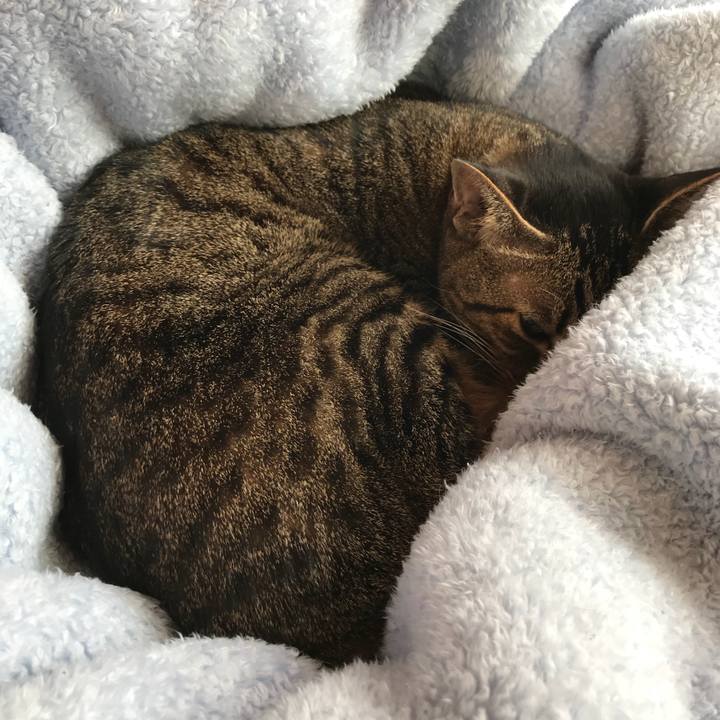 105acd95 2cff 4a04 b86d 79b7d243a2b1 1517622202411