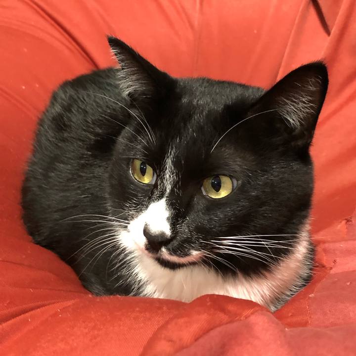 105affdd 313c 4bde 9776 ee86430d6188 1633404695213