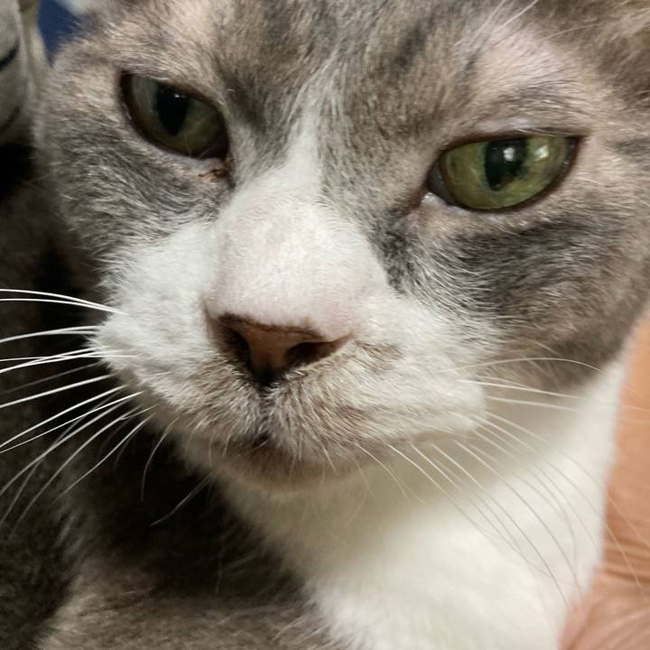 105b7256 8e98 4ab9 a3e4 ce73c146ca61 1755323172640