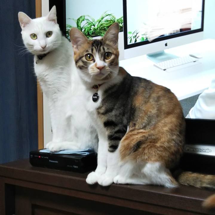 105baf44 a1a9 450d 830d 524696eaafbc 1642288758825