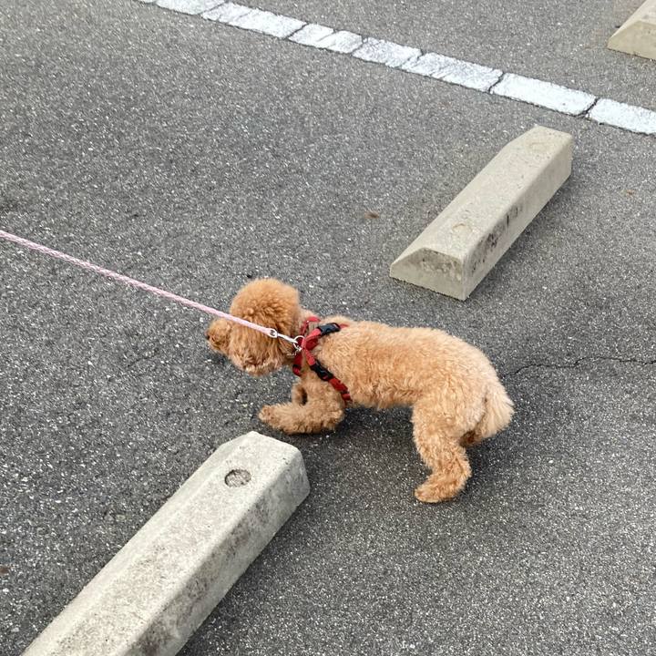 105bfe71 8dd4 4827 8f74 6ac5ba0d77b7 1671076480493