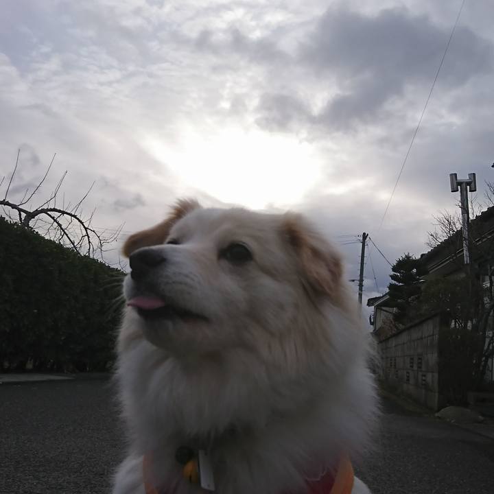 105c0e0d b7b8 4d15 aa67 cbf1f1961d1a 1521756589875