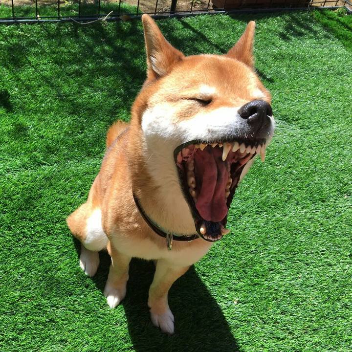 105c18f9 09f3 438b ba86 de5891539dbd 1554110662418