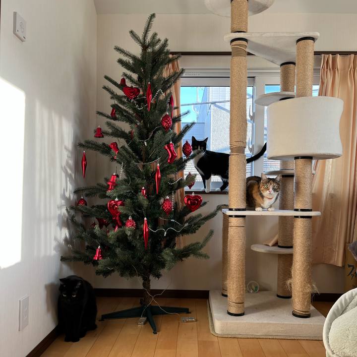 105c331a 88a3 427d a6f0 1891fc92023b 1640302311802